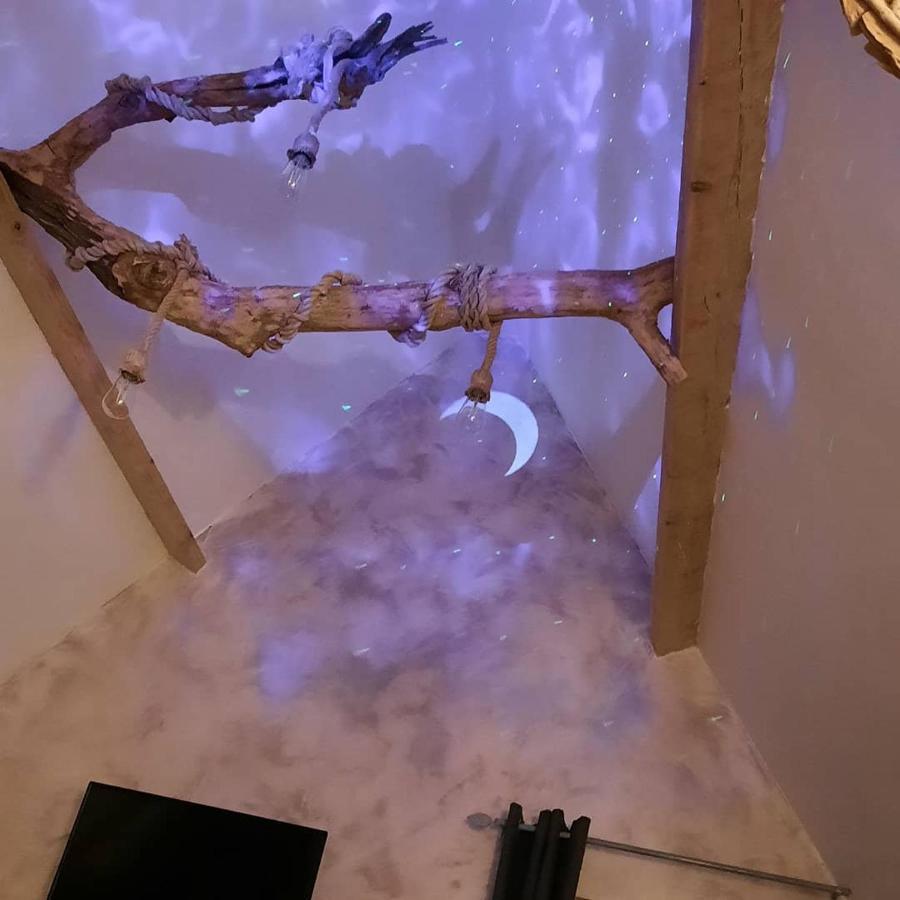 Le Nid'Ange Bed and Breakfast Torcy  Buitenkant foto